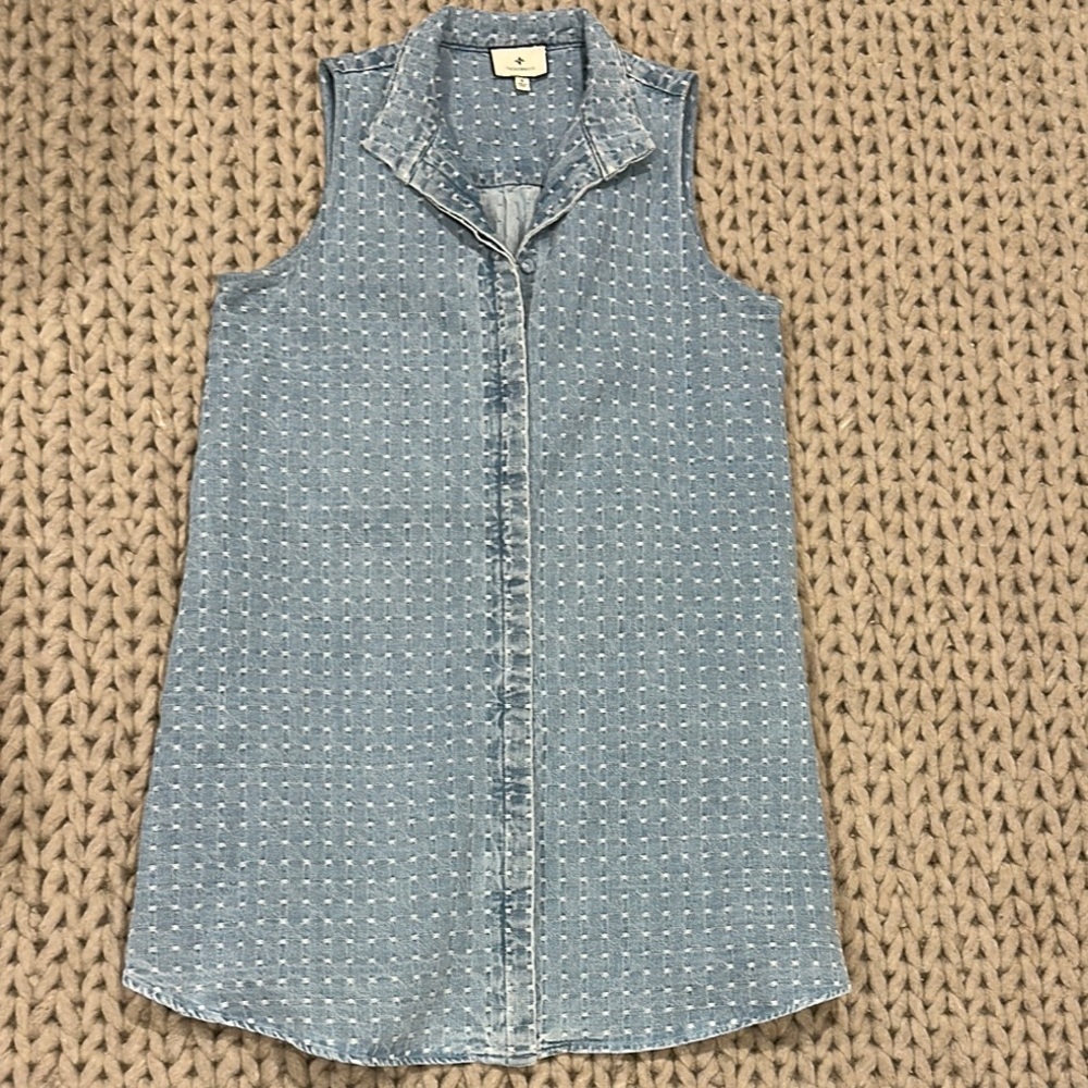 Tuckernuck Blue Sleeveless Button Down Dress